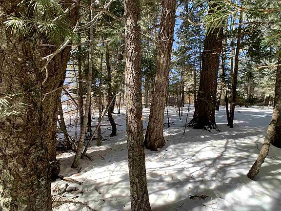3rd image of 1207 Sugar Pine Dr