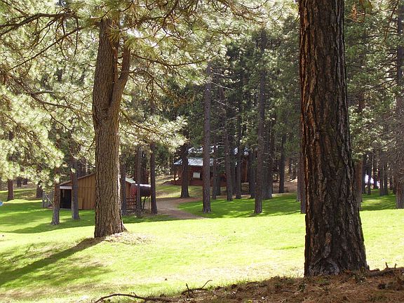 View of horse barn and pole 