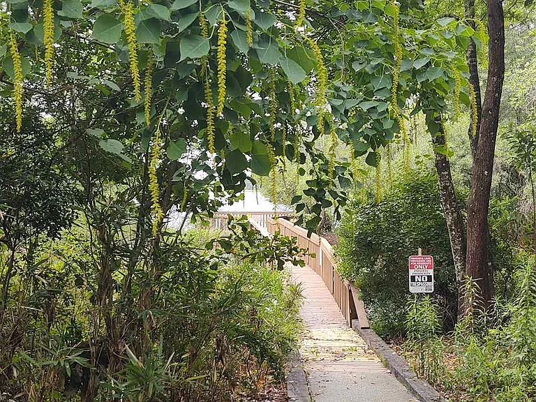 5412 Rowe Trl — Photo 43