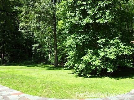 Back yard