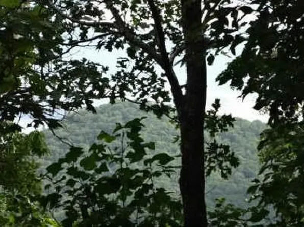 6 Laurel Mountain Dr, Brasstown, NC 28902