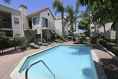Brighton Vista Apartments — Photo 12