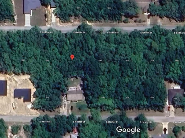 3054 E Griffin St, Inverness, FL 34453
