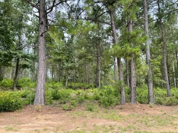 7 Carpenter St #7, Jena, LA 71342