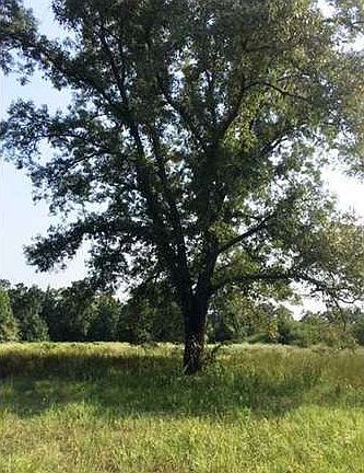 3rd image of 2622 Us Highway 79 W