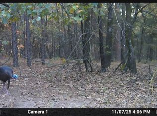 867B Red Rd, Fort Towson, OK 74735