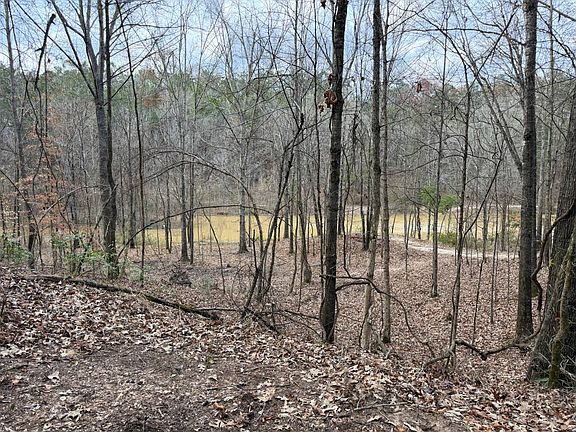 5th image of 265 Whittington Rd