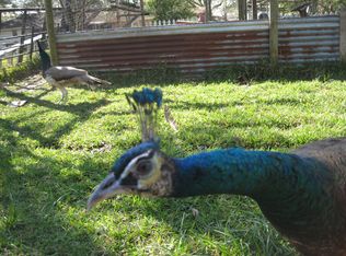 8218 Northcourt Rd, Houston, TX 77040