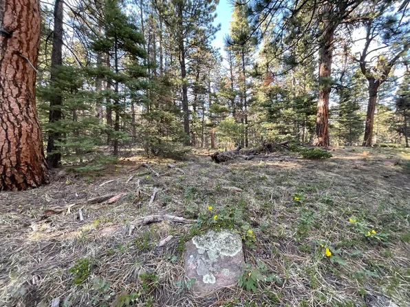 County Road 401, La Veta, CO 81055