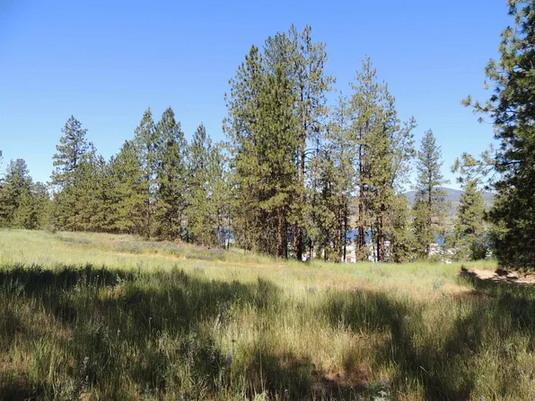 LOT 2 River Bend Ln E, Davenport, WA 99122