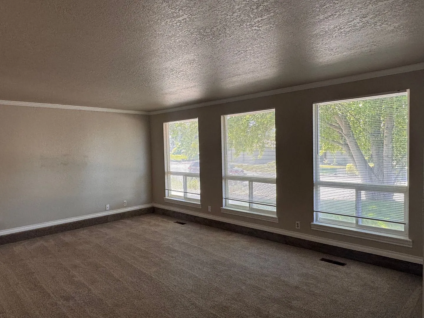 Terrace Heights 3br 2ba with double garage — Photo 2
