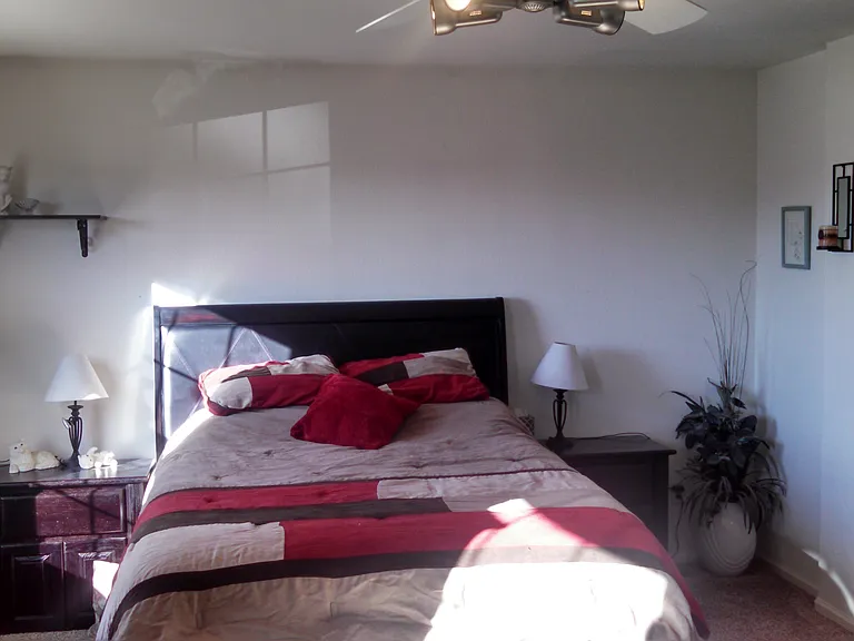 4565 Elizabeth Ln — Photo 8