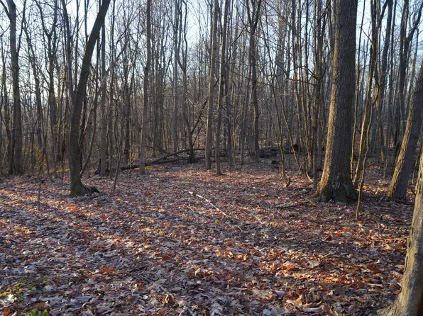 LOT 2 Klondike Rd, Confluence, PA 15424