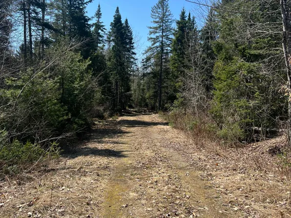 14-4 Hemlock Drive, Hudson, ME 04449