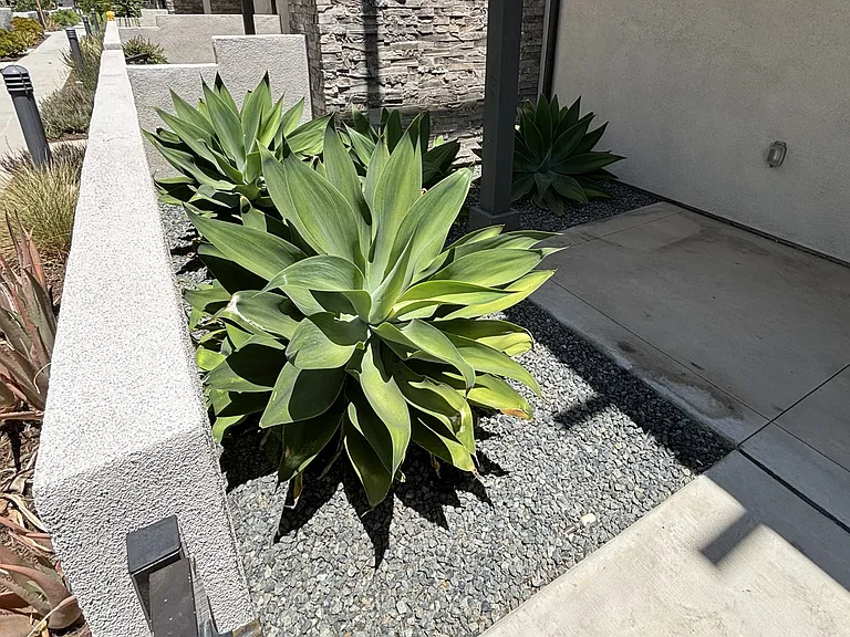 136 Sawbuck — Photo 15