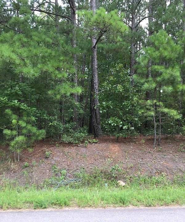 2nd image of 49 Fortenberry Rd