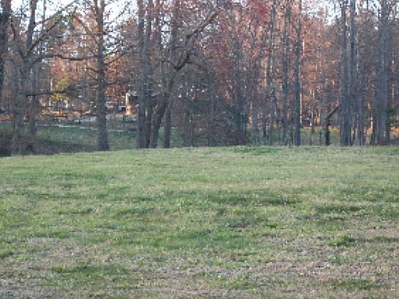 3rd image of 65 Buttercup Ln
