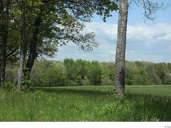 The drive in is a gently rolling gravel/grass easement road lined with trees and beautiful views.