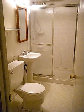 basement bathroom