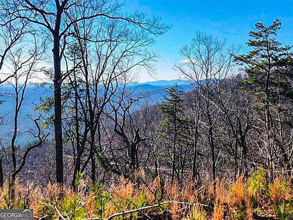 3rd image of 0 Coopers Gap Rd