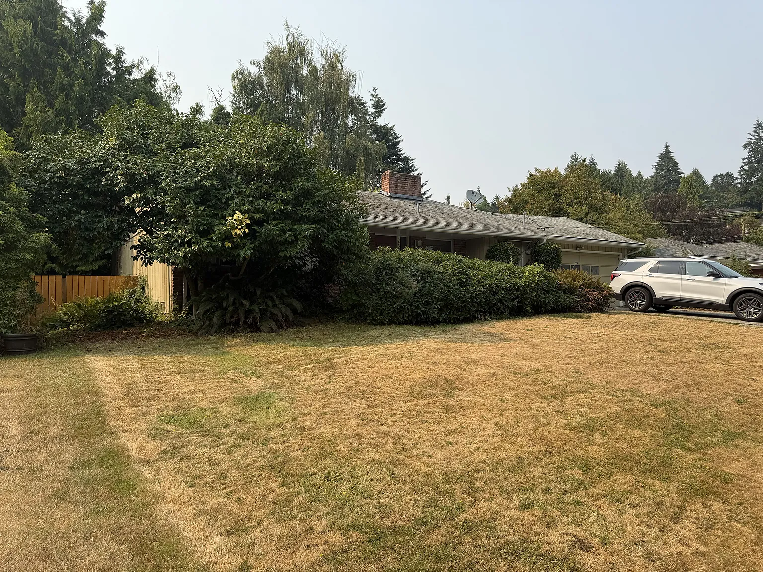 3 bed, 1.5 bath, 1370 sqft, $3,300 — Photo 2