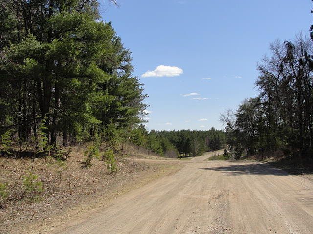 2nd image of 1.52 Acres On Love Lane