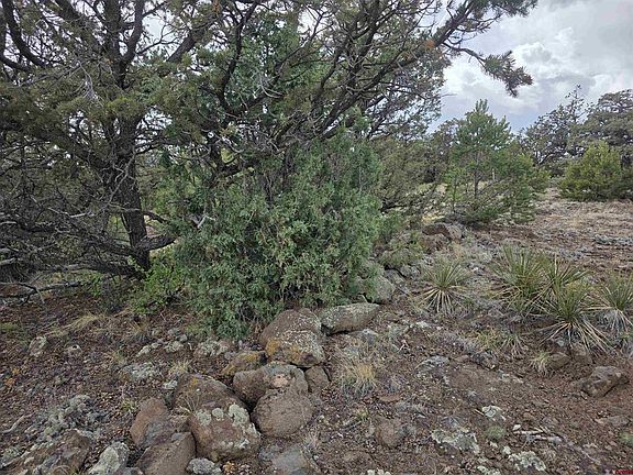 2nd image of 326 Pikes Peak Road