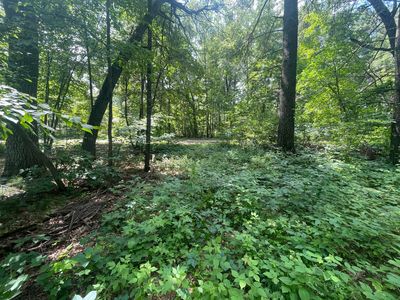Gumwood Ln, Motley, MN, 56466