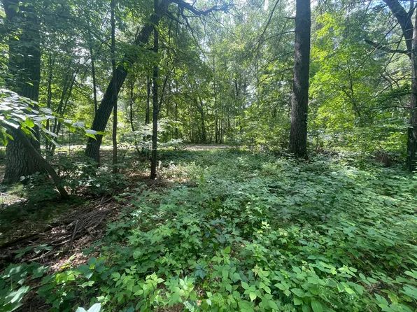 Gumwood Ln, Motley, MN 56466