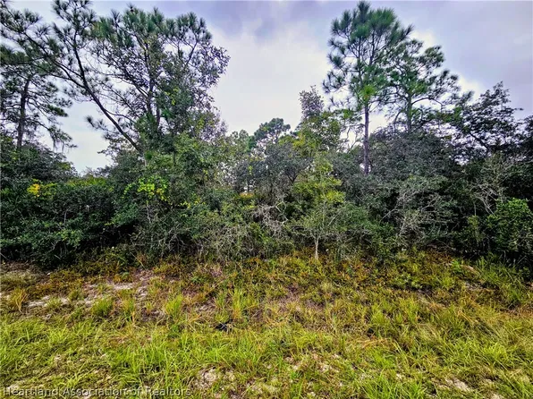 105 Bronson St NW, Lake Placid, FL 33852