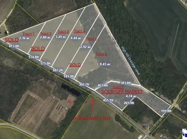 TRACT 6 Borkowitz Rd, Scranton, SC 29591