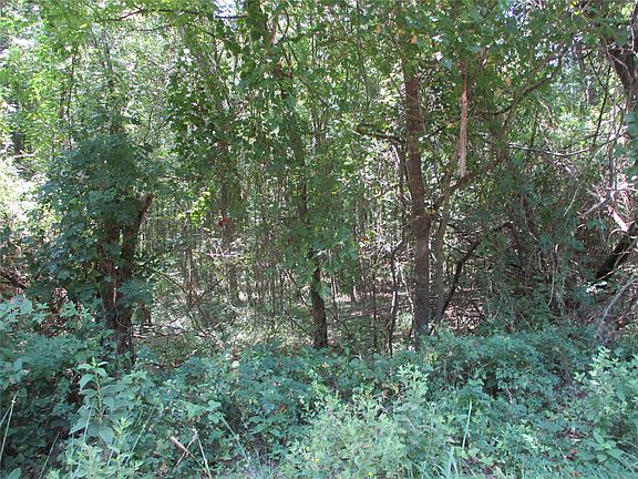 4th image of 517 Rains County Rd #1275