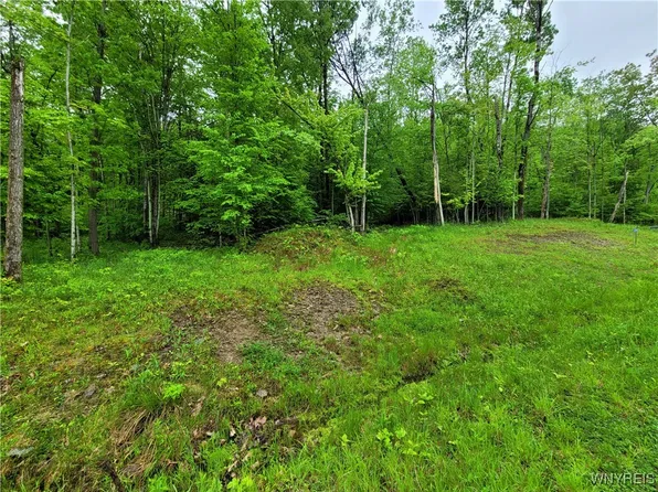 0 County Road 24 #7, Swain, NY 14884