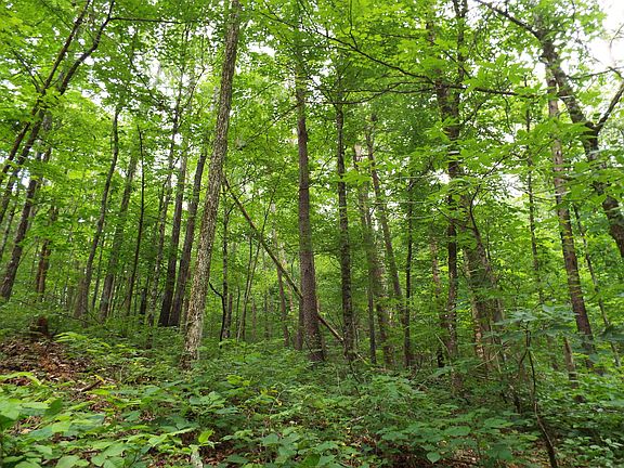 4th image of Miller Rd