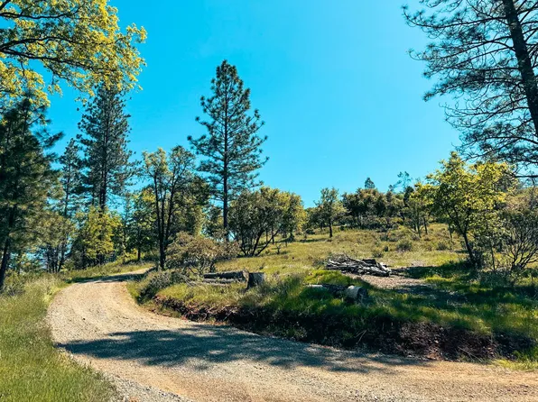 7300 Miller Ranch Rd, Mountain Ranch, CA 95246