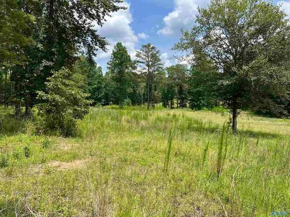 County Road 12, Arley, AL 35541