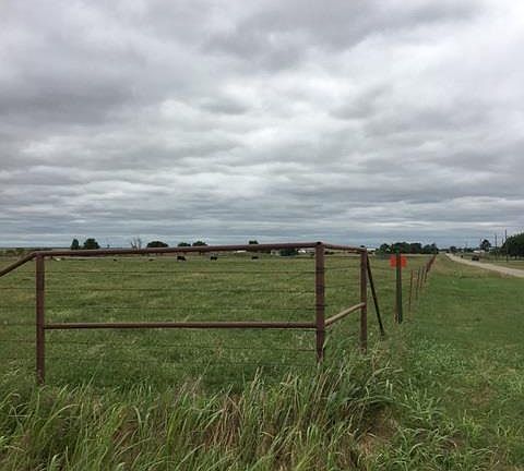 2nd image of Cashion Rd