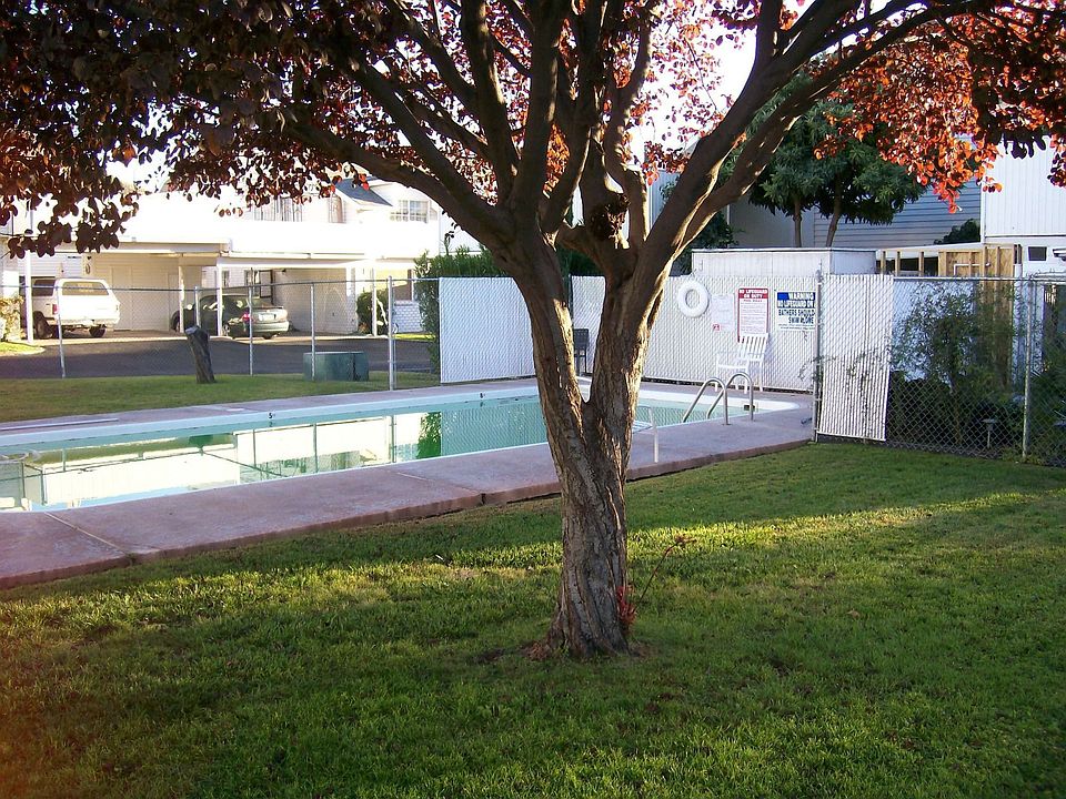 SWIMMING POOL ACROSS FROM HOME