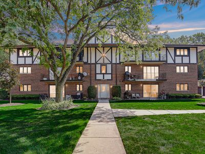 10965 S 84th Ave APT 2D, Palos Hills, IL, 60465