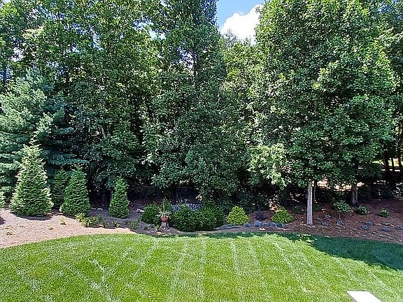 Private back yard