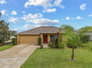 14317 Sanhatchee St, Clermont, FL 34711