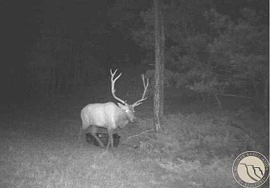 5th image of 2786 Trail Rd #79