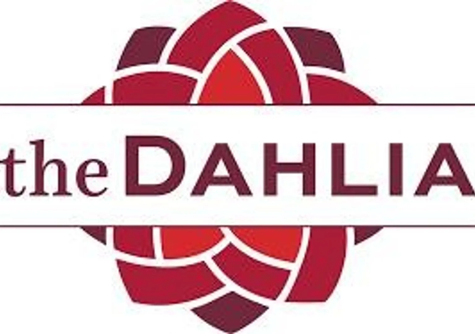 The Dahlia — Photo 3