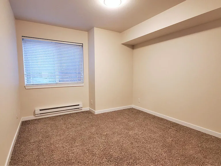 Plush Carpet