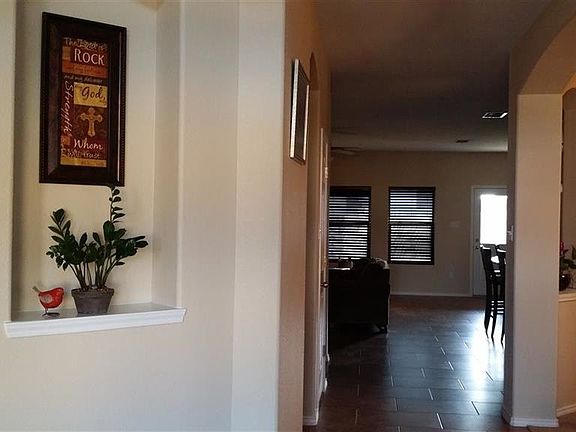 2nd image of 203 Washingtonia Dr