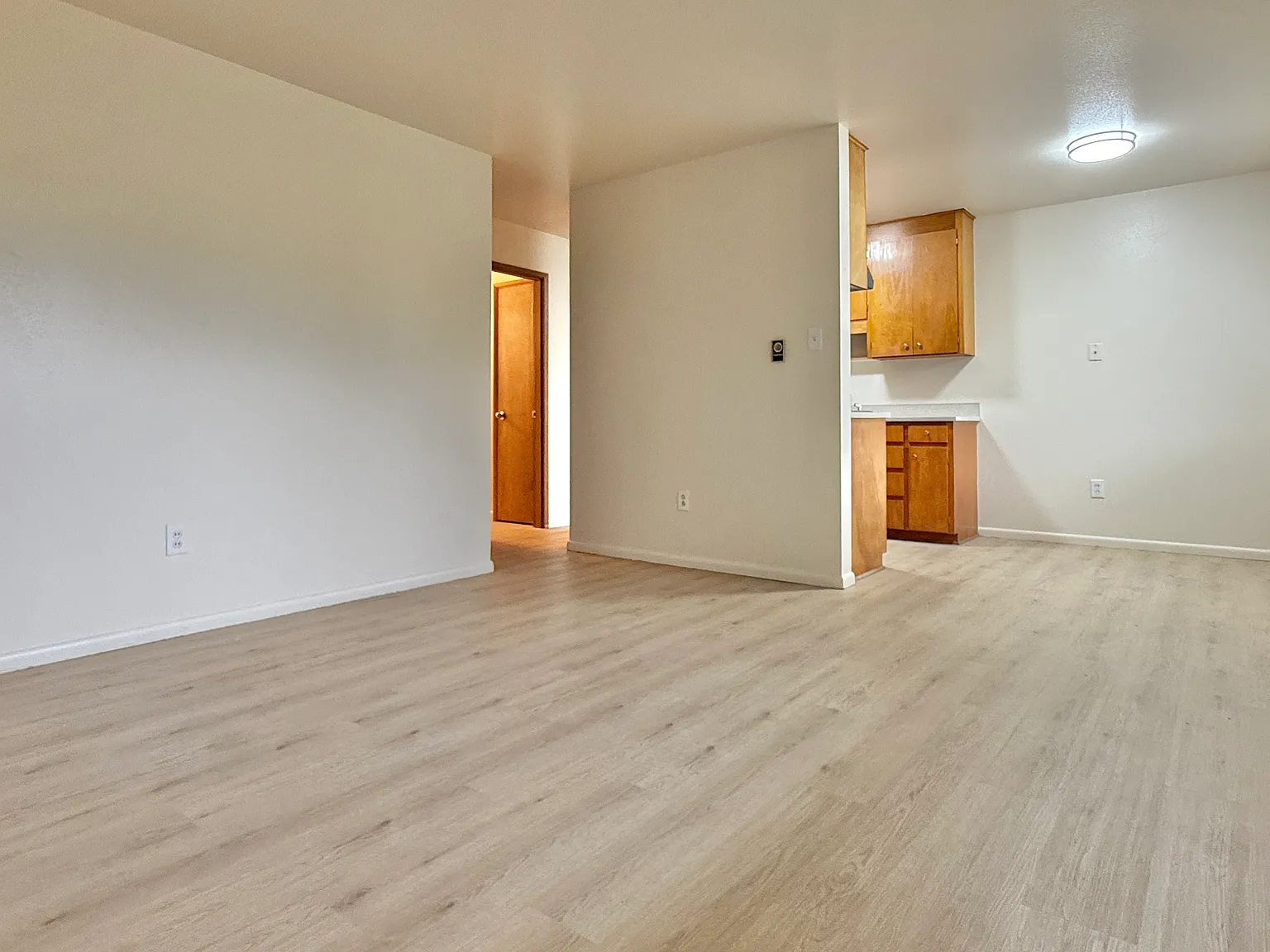 1 bed, 733 sqft, $1,195 — Photo 4