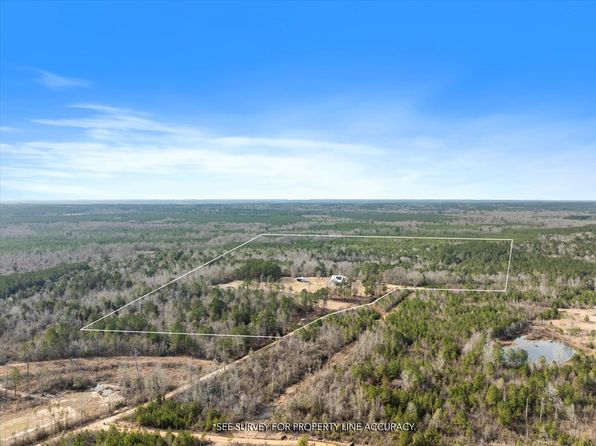 0 County Road 313, Heidelberg, MS 39439