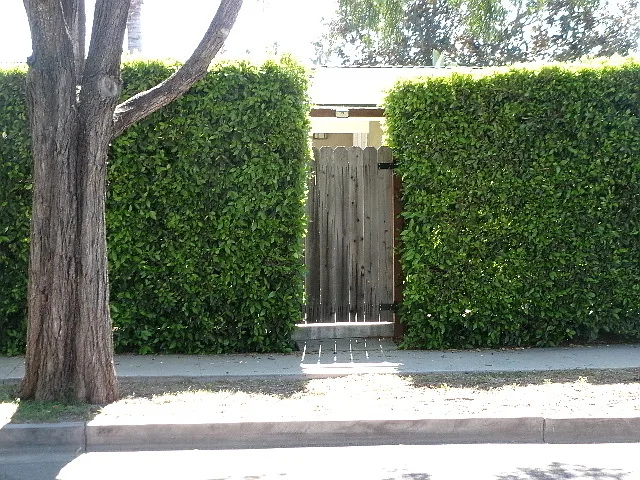 423 W Gutierrez St #1 — Photo 8