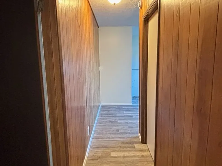 87 Kaiemi St — Photo 5