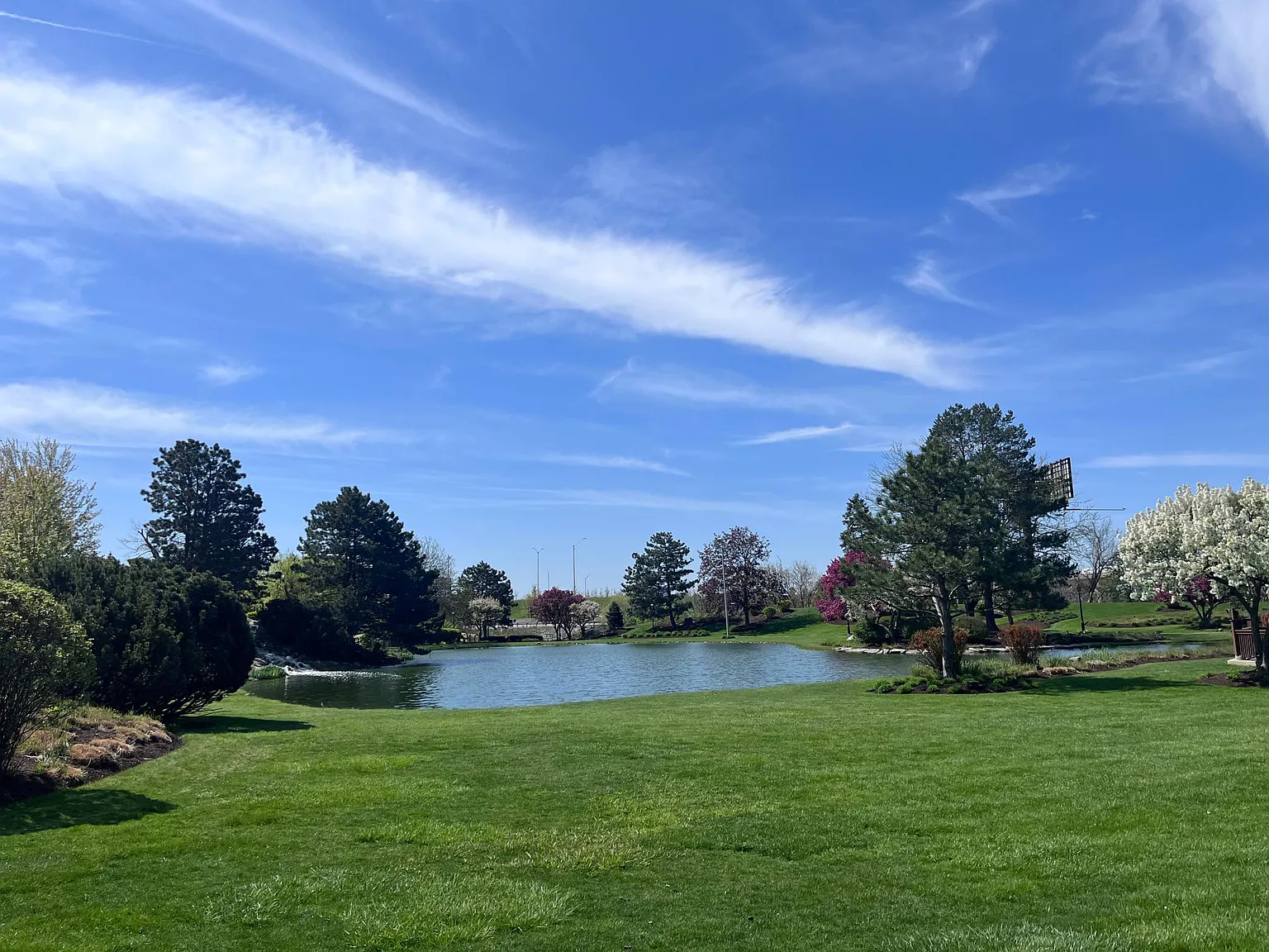 9443 Maple Drive — Photo 4